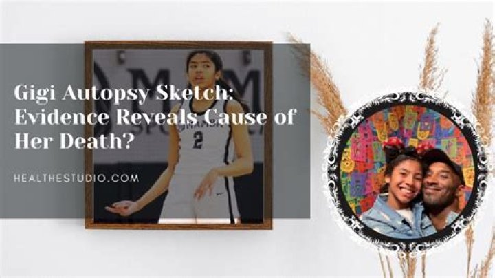 Are Gigi & Kobe Bryant Autopsy Report On Twitter? See Their Drawing & Crash Photos