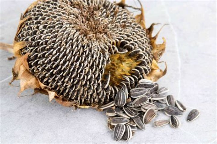 Are sunflower seeds whole 30