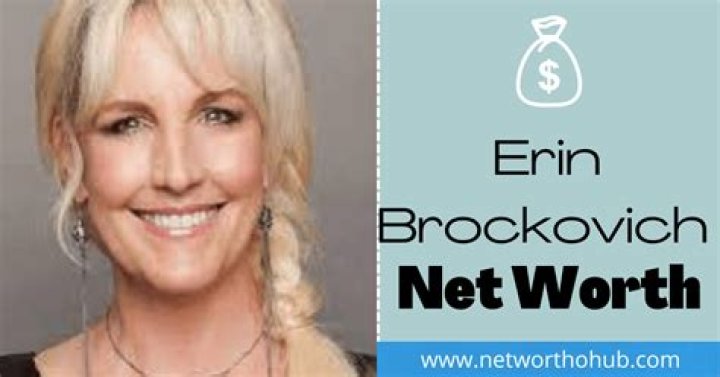 Erin Brockovich Net Worth, Income, Salary, Earnings, Biography