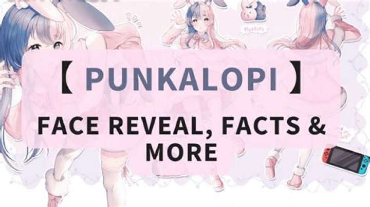 Has Punkalopi Done A Face Reveal? Here’s How She Really Looks Like