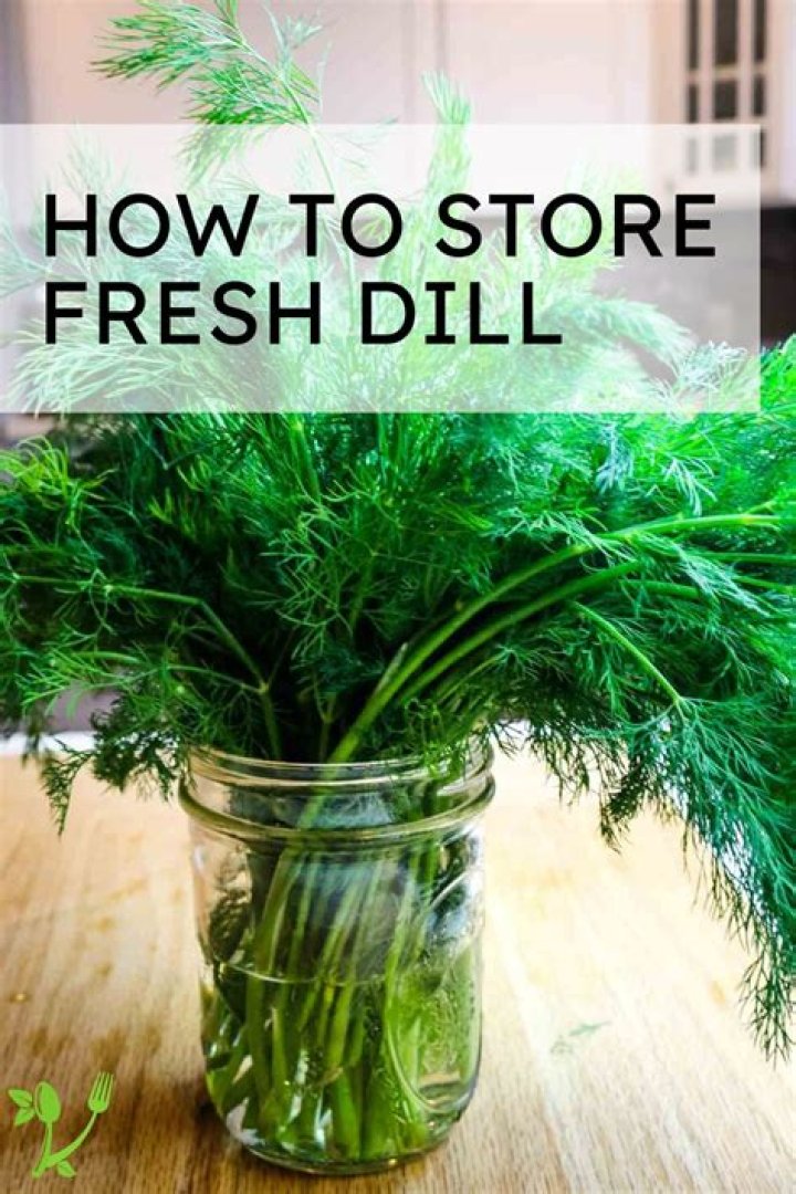 How to store fresh dill
