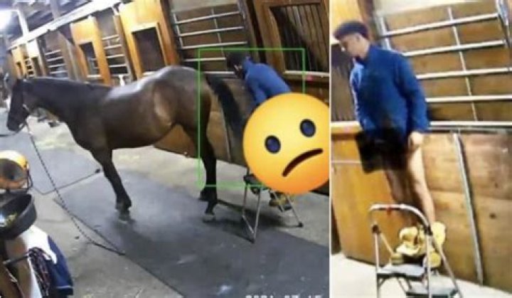 Jackson Z Kelley Horse Abuse Video Just Went Viral – Here Is What He Did