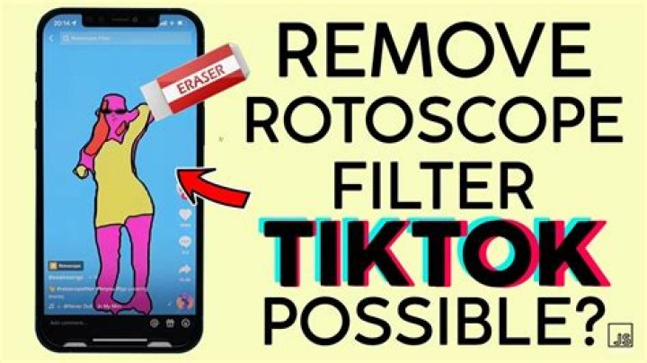What Is Accgen Best Tiktok? Rotoscope Filter & Account Details, What Does It Mean?