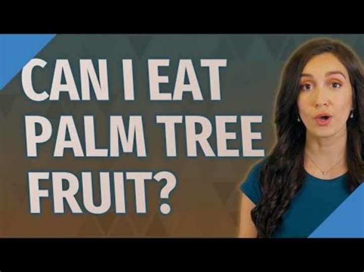 What is the red fruit on palm trees