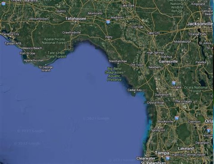 Where is Big Al now? His post-fame life detailed