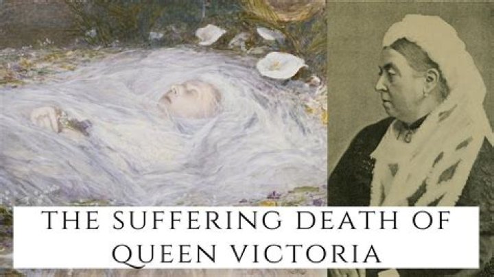 Who Is Trina Dimitrova? Death Cause – How Did She Died?